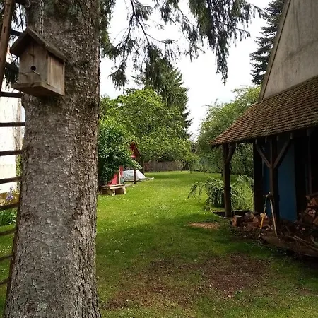 Le Vieux Chêne * Lachapelle-Saint-Pierre